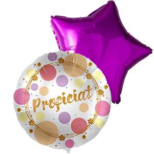 DeBallonnensite Ballon duo proficiat