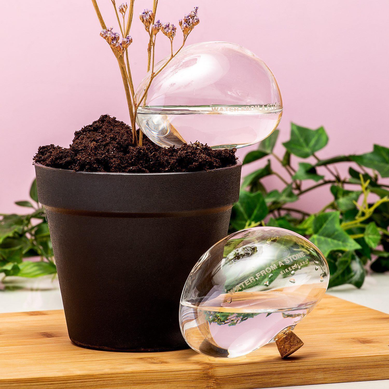 Kikkerland Bewateringsstenen Van Glas (Set Van 2)