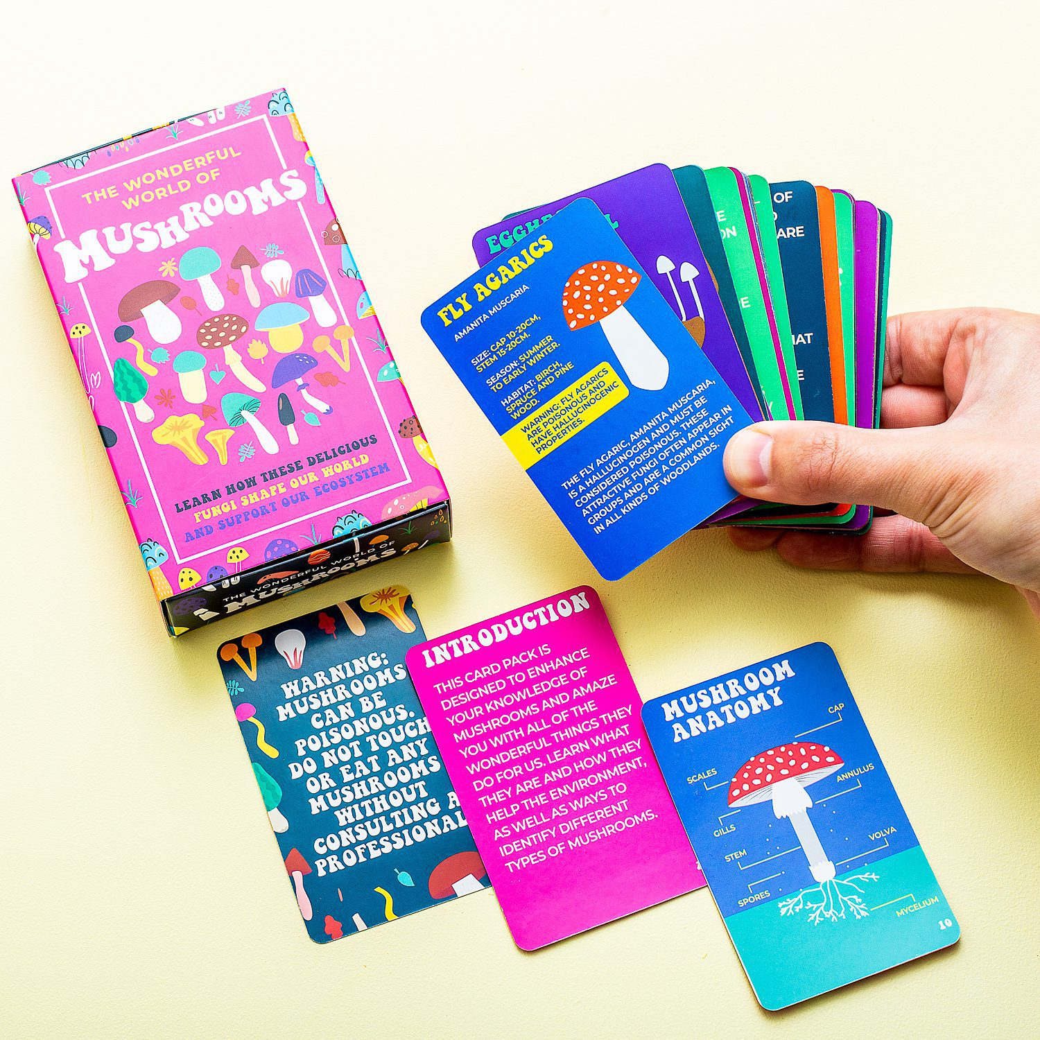 Gift Republic The Wonderful World of Mushrooms kaarten
