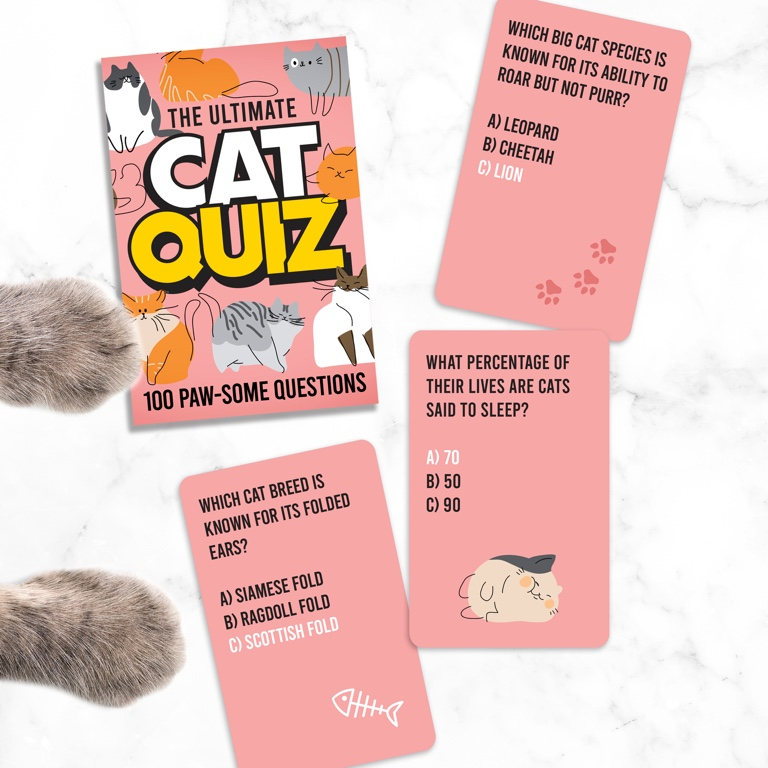 Gift Republic Cat Quiz kaarten