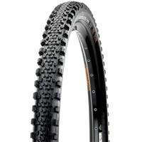 Maxxis Minion SS EXO TR vouwband (29") - Banden