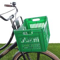 Fahrradkiste 30 Liter Polypropylen Grün