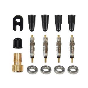 huismerk 3 sets (15 in 1) Franse valve core adapter set