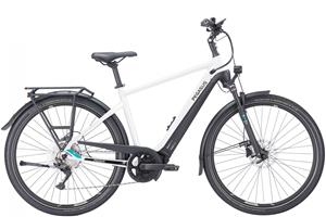 Pegasus Premio Evo 10 lite 750 Wh Damen Trapez rot 2023 50cm