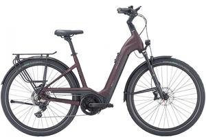 Pegasus Strong Evo 10 Lite 625 Wh Damen rot 2023 45cm