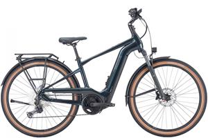 Pegasus Evo 12 lite 750 Wh Herren schwarz 2023 45cm