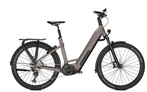 Kalkhoff Entice 7.B Move+ 750 Wh Damen grau 2022 48cm