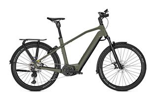 Kalkhoff Entice 7.B Advance+ 750 Wh Herren grün 2022 58cm