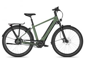 Kalkhoff IMAGE 5.B EXCITE+ 625 XXL 2022 | grün | 48 cm | E-Cityräder