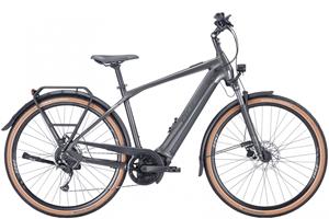 Bulls Cross Lite EVO 1 750 Wh Herren silber 2023 50cm