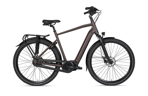 BSP Musa 2024 Heren Elektrische Fiets E-bike Dark Oak Mat 61 Cm +€250 Inruilkorting