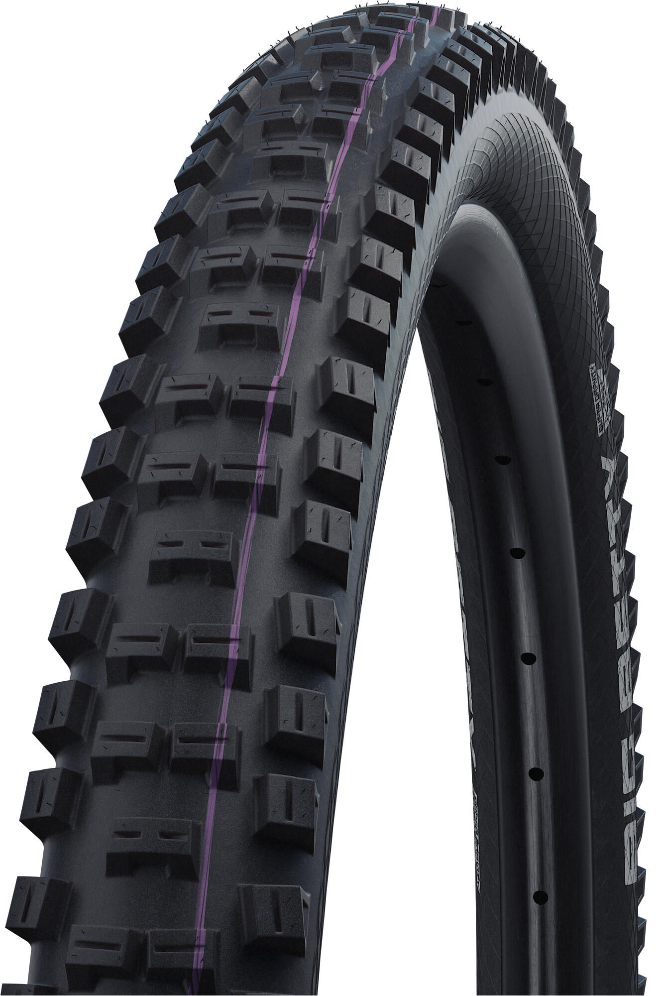 SCHWALBE Tire big betty evol.line 62-507