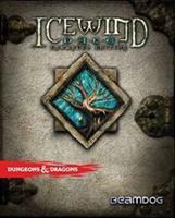 Deep Silver Icewind Dale Enhanced Edition