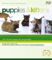 Blu-Ray Puppies & Kittens