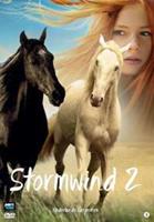 Stormwind 2 (DVD)