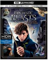 Fantastic Beasts And Where To Find Them 4K Ultra HD Blu-ray