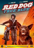 Red Dog - True Blue