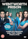 Network Prison - Staffeln Eins bis Fünf
