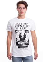 harrypotter Harry Potter - Have You Seen This Wizard - - T-Shirts