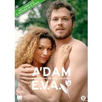 A'dam & E.V.A. (Amsterdam en vele anderen) - Seizoen 3 (DVD)