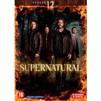 Supernatural - Seizoen 12 (DVD)