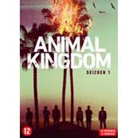 Animal kingdom - Seizoen 1 (DVD)