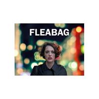 Fleabag (DVD)