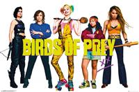 GB eye Birds of Prey Poster Pack Group 61 x 91 cm (5)