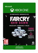 ubisoft Far Cry New Dawn Medium Currency Pack
