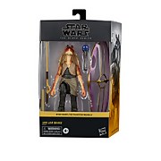 Hasbro Star Wars The Black Series Jar Jar Binks 6-Inch-Scale Star Wars: The Phantom Menace Collectible Deluxe Action Figure