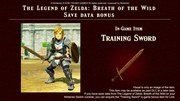 nintendo Hyrule Warriors: Age of Calamity -  Switch