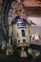 GB Eye Star Wars Poster - Last Jedi R2-D2 & Porgs (61cm x 91,5cm)