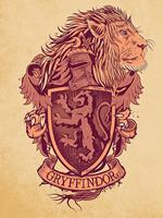 Pyramid International Harry Potter Canvas - Gryffindor (80x60cm)