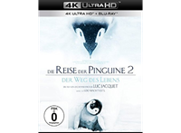 Wild Bunch (Im Vertrieb von LEONINE) Die Reise der Pinguine 2 - Der Weg des Lebens  (4K Ultra HD) (+ Blu-ray 2D)