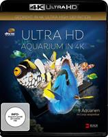 Busch Media Group Aquarium  (4K Ultra HD)