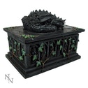 Dragon Tarot Card Box