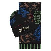 Difuzed Harry Potter Beanie & Scarf Set Hogwarts Houses Colored
