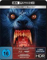 Turbine Medien An American Werewolf in London - 3-Disc-Special Edition (4K Ultra HD) (+ Blu-ray 2D) (+ Bonus-Blu-ray) (Gabz Artwork)