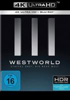 Warner Bros (Universal Pictures) Westworld - Die komplette 3. Staffel - Repack  (3 Blu-rays 4K Ultra HD) (+ 3 Blu-rays 2D)