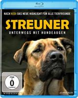 Ascot Elite Filmverleih Streuner - Unterwegs mit Hundeaugen
