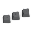 Glorious PC Gaming Race GPBT Keycaps - 114 PBT Keycaps ANSI US-Layout Black Ash (GLO-KC-GPBT-B)