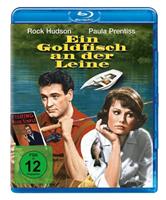 Universal Pictures Germany GmbH Ein Goldfisch an der Leine