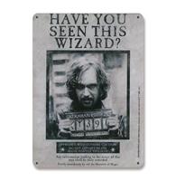 Logoshirt Harry Potter Tin Sign Have You Seen This Wizard 15 x 21 cm