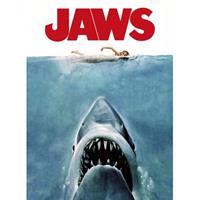 Clementoni Cult Movies Puzzle Collection Jigsaw Puzzle Jaws (500 pieces)