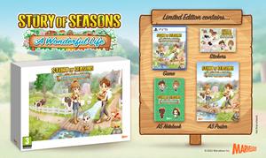 Marvelous Story of Seasons A Wonderful Life - Limited Edition