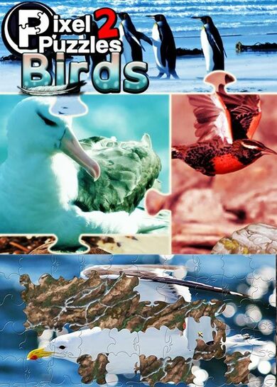 KISS Ltd. Pixel Puzzles 2: Birds
