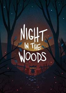 Finji Night in the Woods Steam key