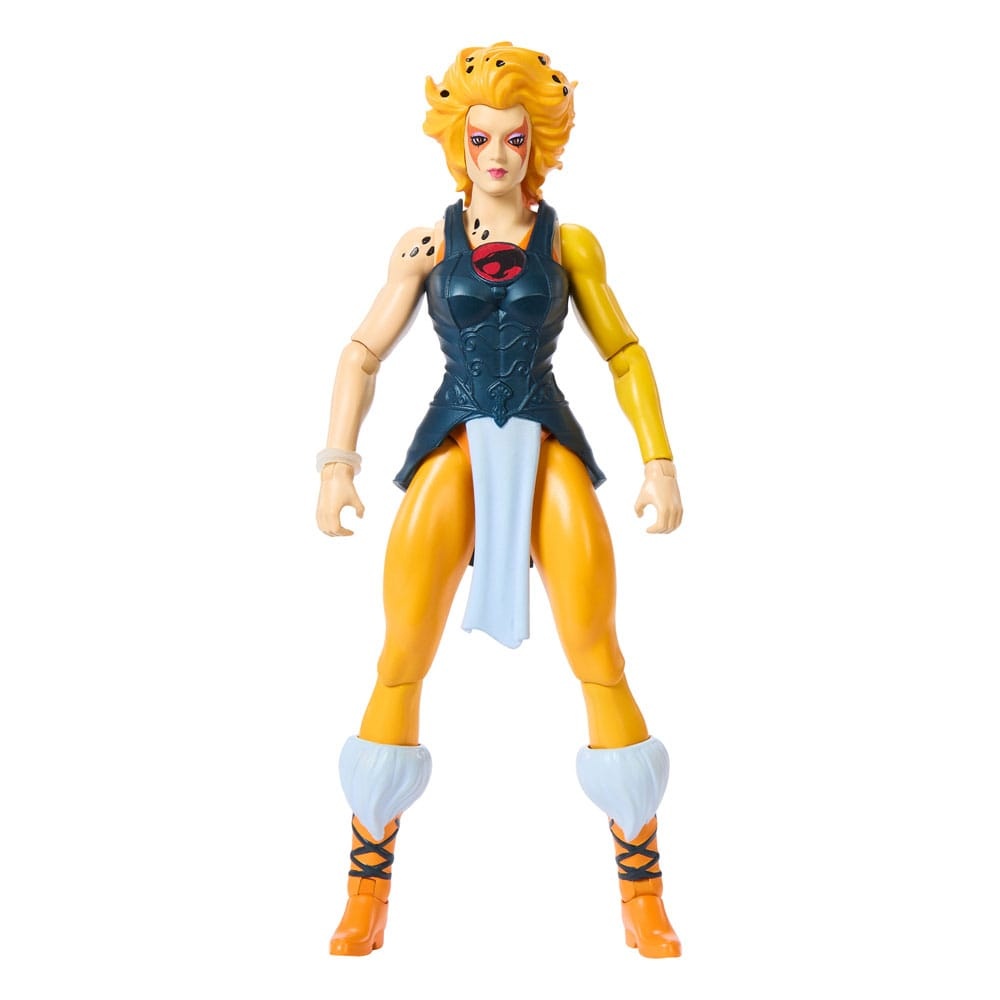 Mattel MOTU x Thundercats Cheetara