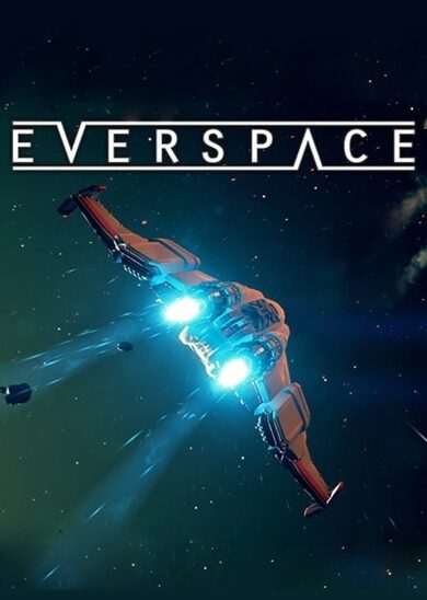 Rocket Bear Games Everspace
