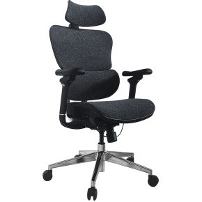Equip 651052 Ergo-Bureaustoel Grijs